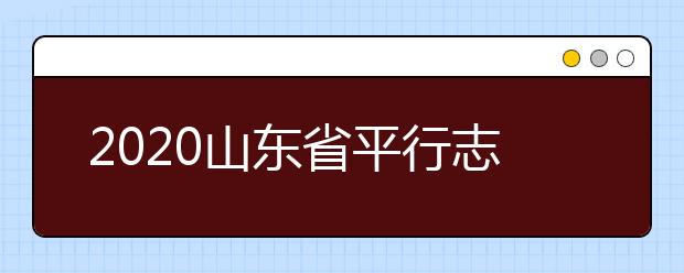 2020山東省平行志愿怎么報(bào)？平行志愿分幾類？